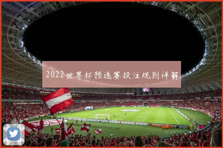 2022世界杯预选赛投注规则详解
